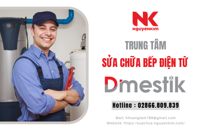 Sửa bếp điện từ Dmestik 02