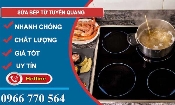 dịch vụ sửa bếp từ tuyên quang