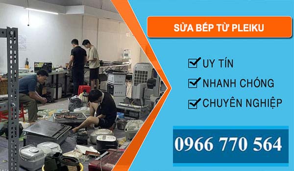 Sửa Bếp Từ Pleiku