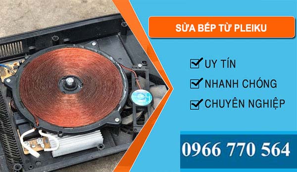 Sửa Bếp Từ tại Pleiku