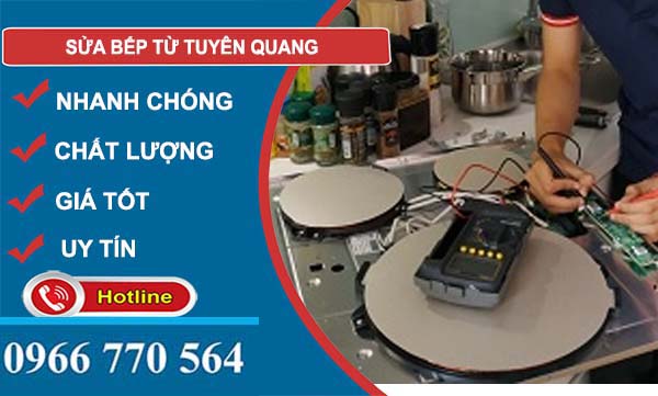 thợ sửa bếp từ tuyên quang