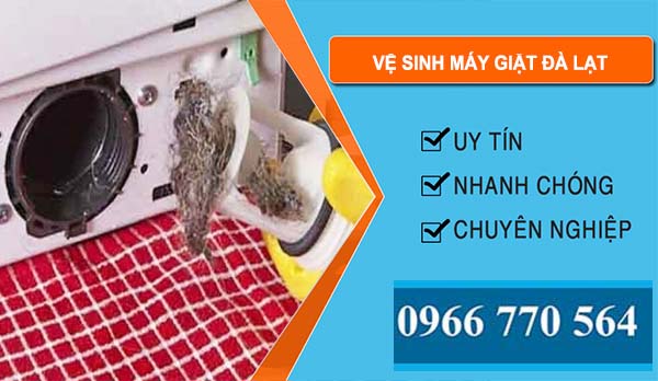 Vệ Sinh Máy Giặt Tại Đà Lạt