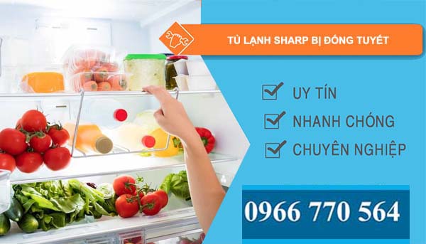 nguyên nhân tủ lạnh sharp bị đóng tuyết